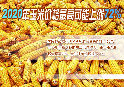 ������������ ���������׵��y�q