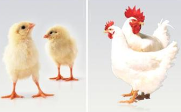 �������u