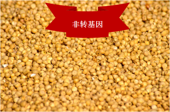 ���D����