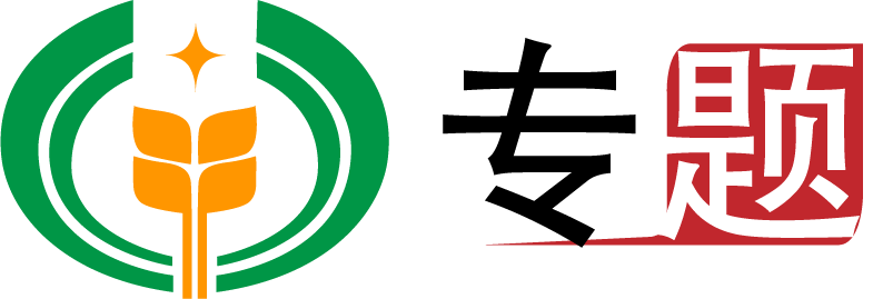 專題